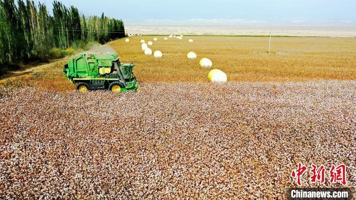 近年來(lái)，當(dāng)?shù)孛藁ǚN植戶(hù)的生產(chǎn)生活發(fā)生了翻天覆地的變化?！《?攝