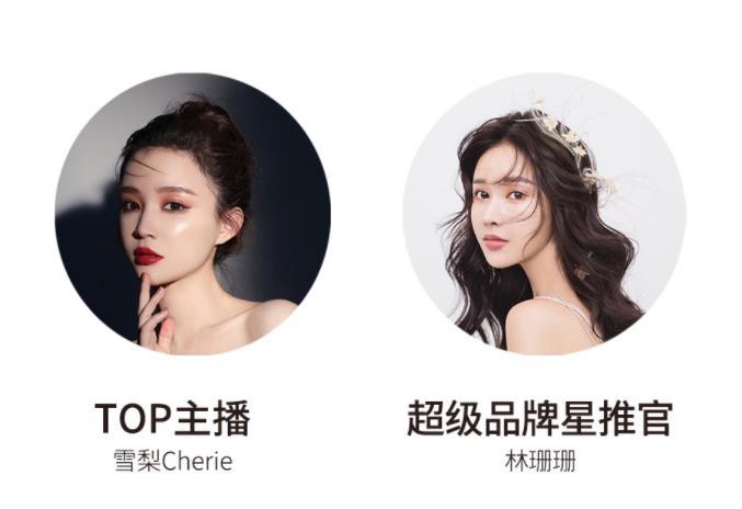 宸帆電商官網(wǎng)截圖。