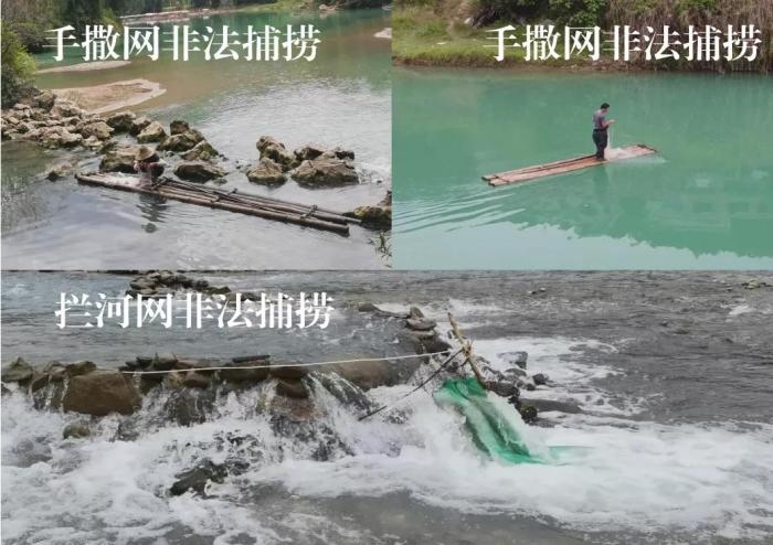 2021年9—10月，前期暗查發(fā)現(xiàn)，保護(hù)區(qū)核心區(qū)內(nèi)非法捕撈行為十分猖獗