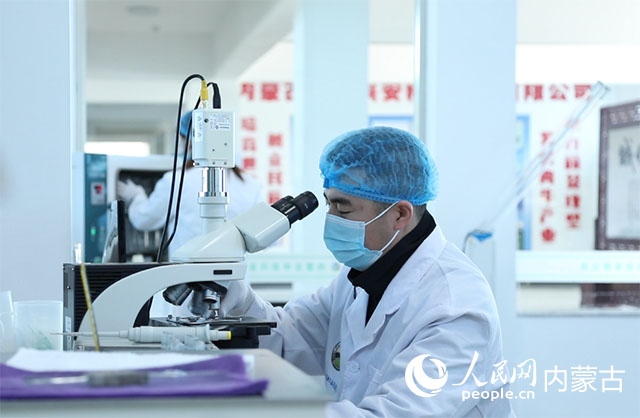 內(nèi)蒙古中農(nóng)興安種?？萍加邢薰韭鋺艨朴抑衅欤瑸槿馀．a(chǎn)業(yè)發(fā)展提供了優(yōu)質(zhì)的種源保障。白俊華攝