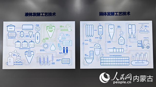 科拓生物工藝技術(shù)展示。人民網(wǎng)記者 張雪冬攝
