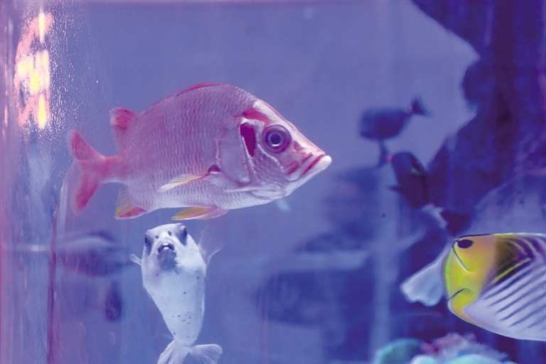 1639540665843767.jpg 1927424_cjp_1639468984079_s.jpg