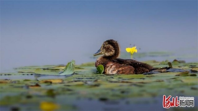 1660028616964127.jpg W020220808548518209815.jpg