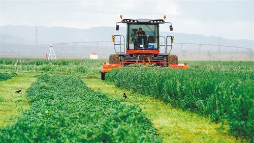 1666942168108298.jpg 00300591500_94f540ca_副本.jpg