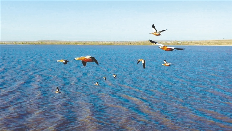 1667527902951389.jpg 2473541_wt_1667486102147_s.jpg