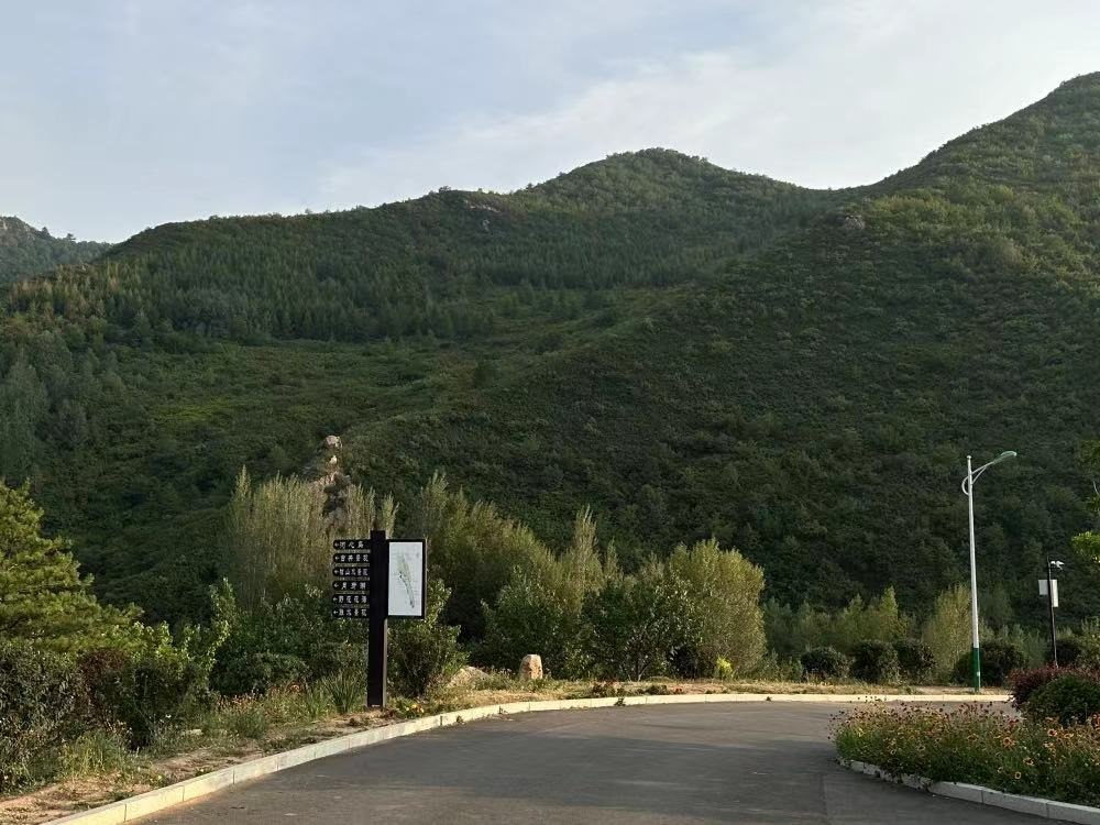 1694441846109731.jpeg WechatIMG1491.jpeg