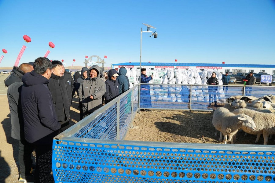 1701270920817087.png 004.png