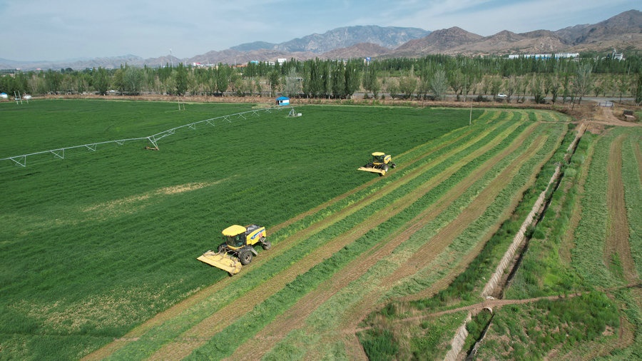 1716886050437977.jpg _O6I3470(1).JPG