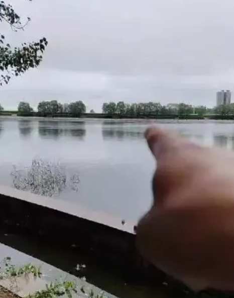 1725812675148889.png 20240909002425.png