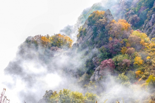 1727151550550591.png 66f1197d0aa31.png