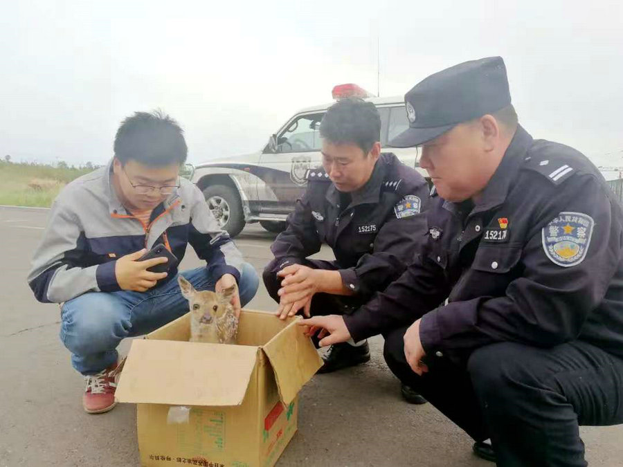 1734675923110720.jpg 微信圖片_20241220142011.jpg