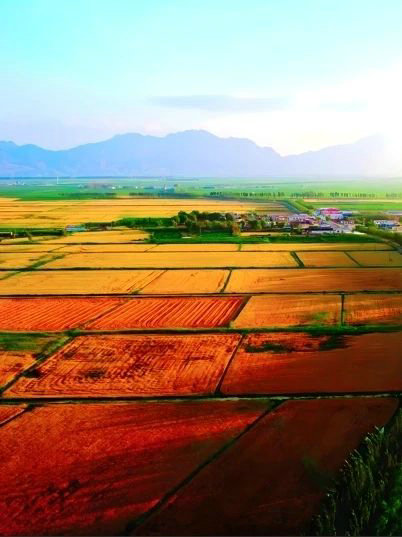 1735285679427090.jpg _O6I3470.JPG