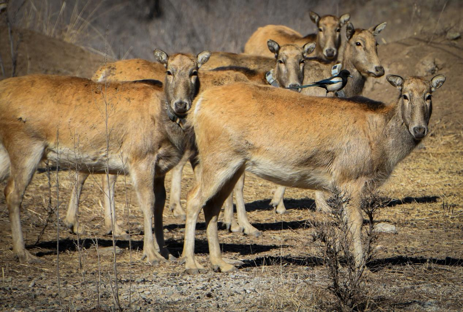 1740123162105724.png 圖片6.png