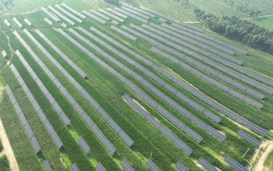 1741083740312711.png 640 (6).png