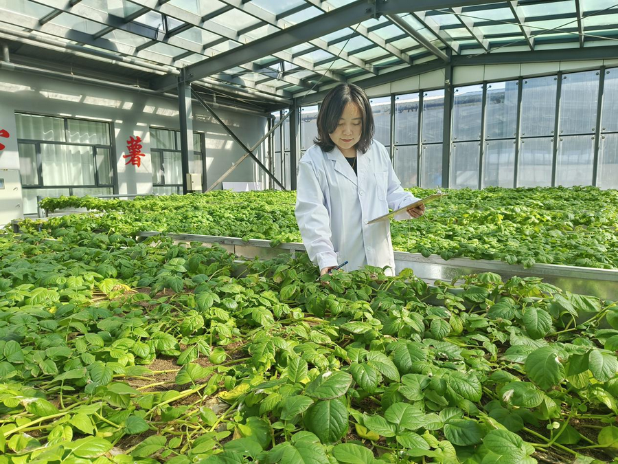 1746327011602875.png 1.png