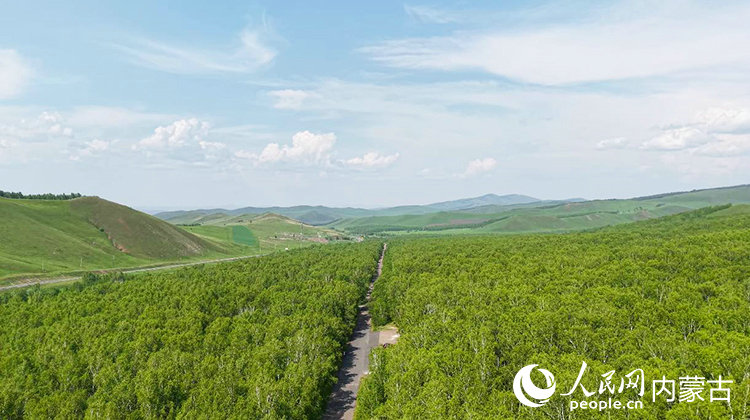 1752798375215933.jpg 呼倫2.jpg