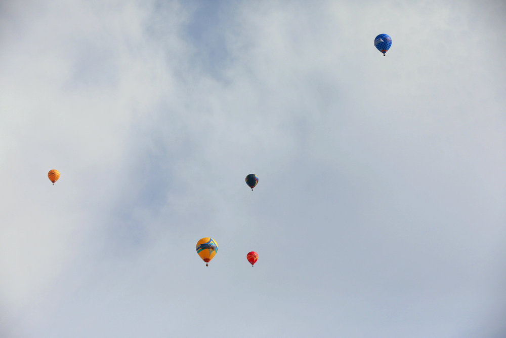 1752806592634761.jpg _O5A3068.JPG