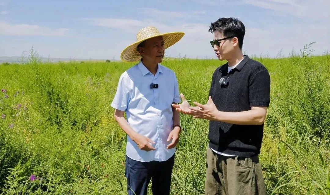 1752835128211286.jpg 03.jpg