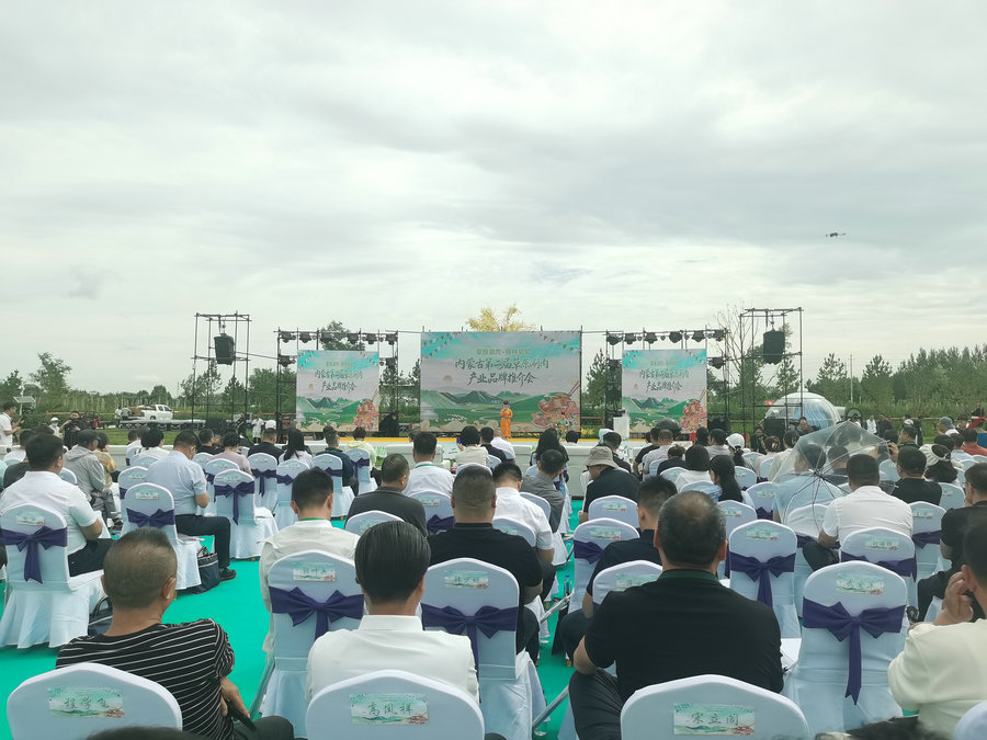 1754619111110131.jpg .jpg