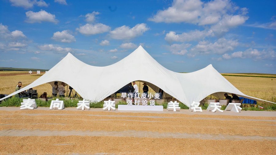 1755670835111189.jpg 20250820141430.jpg