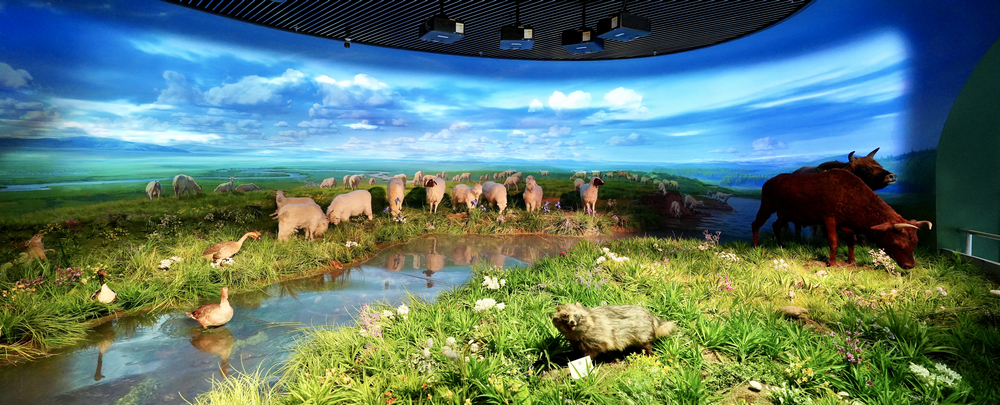 1764812395138932.png 01101.png