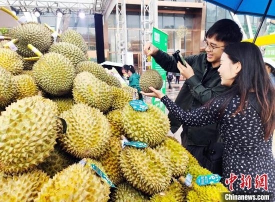 圖為廣西南寧市民在選購榴蓮。黃艷梅 攝