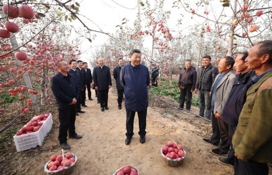 2022年10月26日，習(xí)近平總書(shū)記在陜西省延安市安塞區(qū)高橋鎮(zhèn)南溝村蘋(píng)果園同老鄉(xiāng)們親切交流。