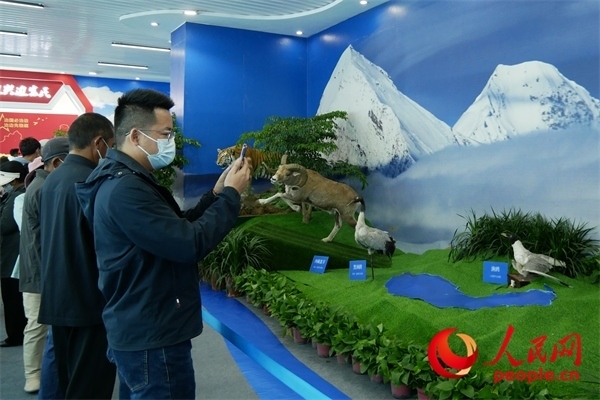 6月17日，觀眾正在觀展。人民網 韋衍行攝