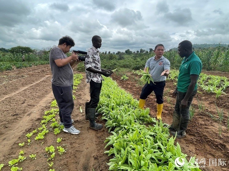 人民網(wǎng)記者走進(jìn)尼日利亞農(nóng)業(yè)技術(shù)示范中心。人民網(wǎng)記者 趙艷紅攝
