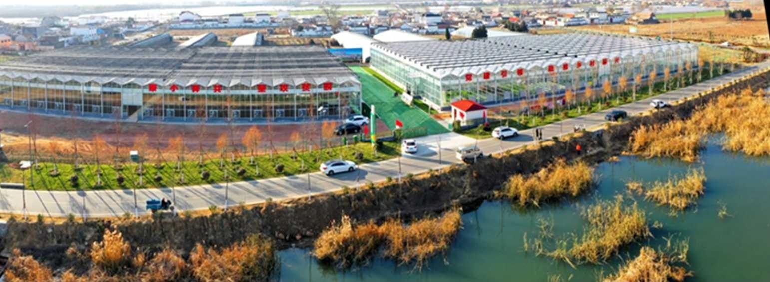 白樓灣三產(chǎn)融合發(fā)展。宋道森攝