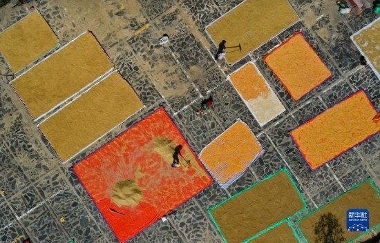 9月16日，貴州省黔東南苗族侗族自治州丹寨縣南皋鄉(xiāng)石橋村村民在晾曬農(nóng)作物（無人機照片）。
