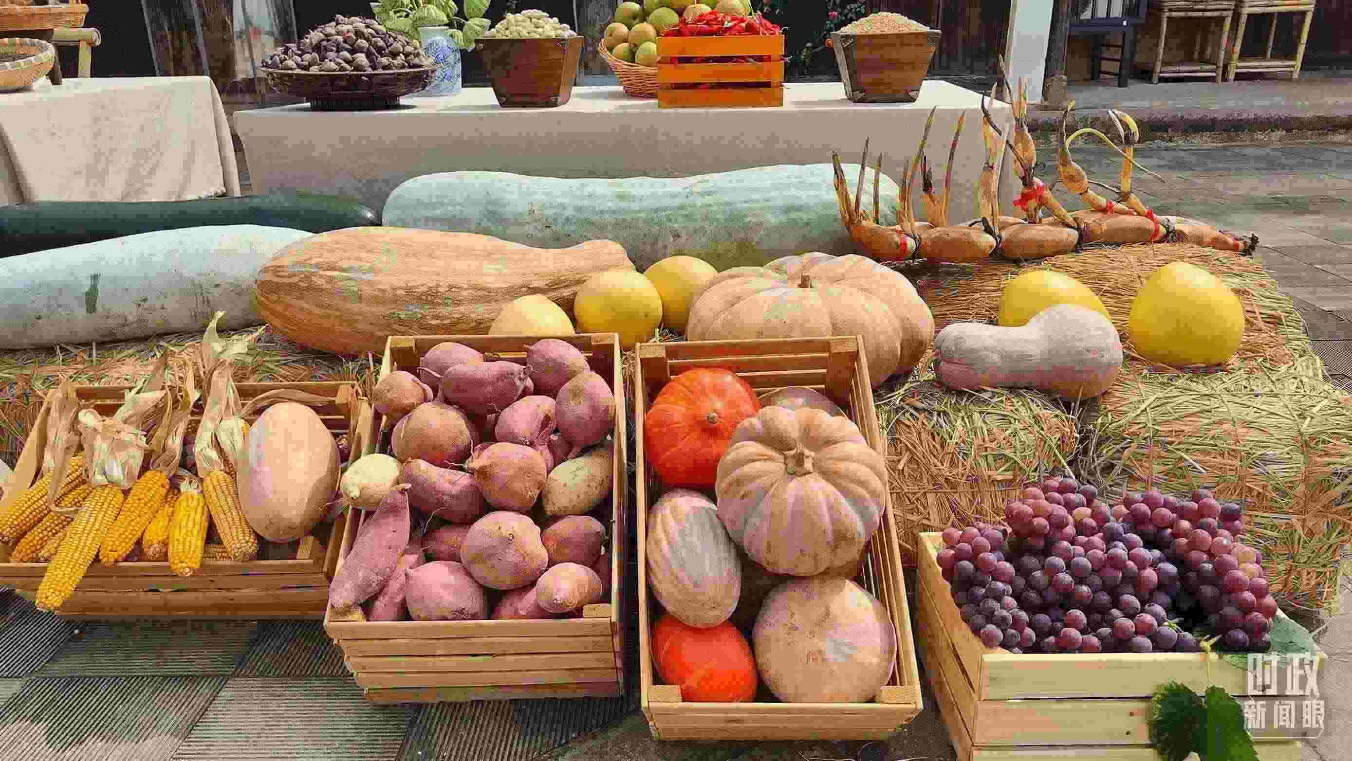 △村廣場(chǎng)“共富市集”，擺放著種類豐富的特色農(nóng)產(chǎn)品。（總臺(tái)央視記者楊立峰拍攝）