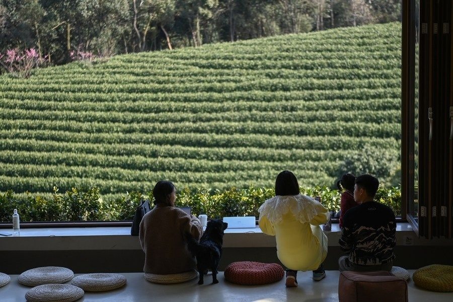 游客在浙江省安吉縣黃杜村萬(wàn)畝茶園邊的咖啡館休閑（2023年2月21日攝）。