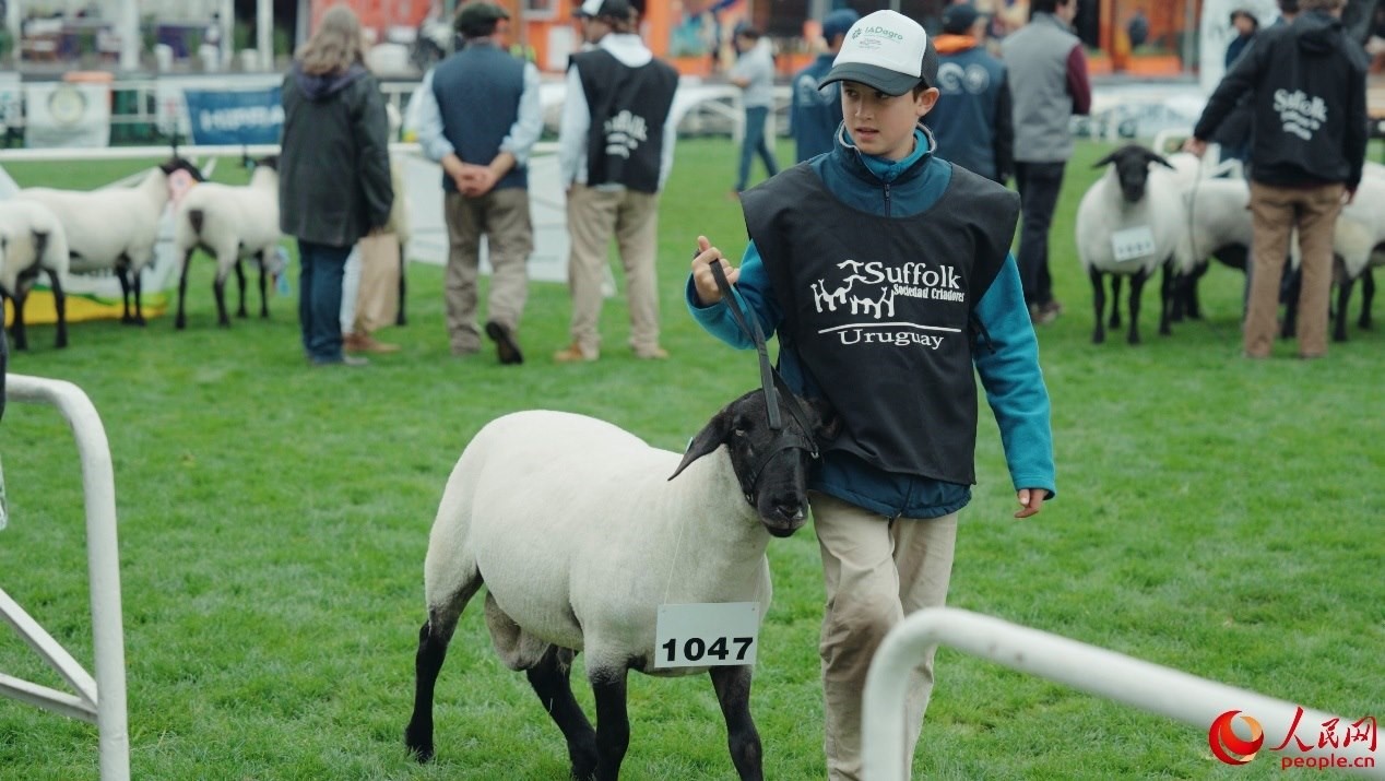 烏拉圭第118屆普拉多牧農(nóng)業(yè)國際博覽會現(xiàn)場。人民網(wǎng)記者 張若涵攝