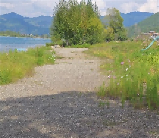 王軍所說(shuō)被填區(qū)域。 人民網(wǎng)記者 黃鈺攝