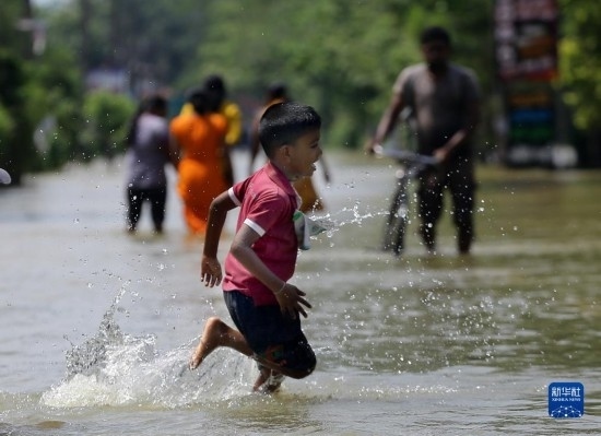 11月24日，一名男孩在斯里蘭卡加姆珀哈涉水出行。新華社發(fā)（阿吉特·佩雷拉攝）