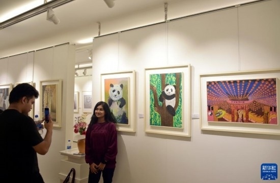 11月22日，在孟加拉國(guó)達(dá)卡，人們?cè)凇皣?guó)家印象”繪畫展上參觀拍照。新華社發(fā)（薩利姆攝）