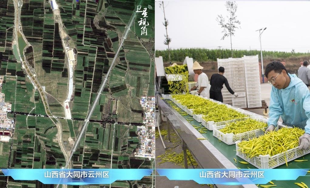 當(dāng)前，大同市開發(fā)黃花菜品、食品、飲品、功能食品、化妝品、文創(chuàng)產(chǎn)品六大系列130余種，全產(chǎn)業(yè)鏈產(chǎn)值超40億元。