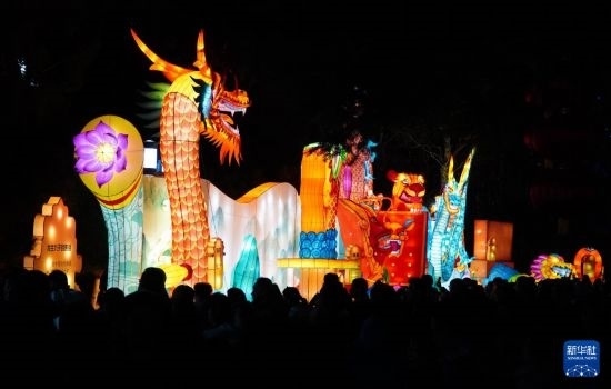 2月11日晚，人們?cè)跐?jì)南市趵突泉公園觀賞花燈。