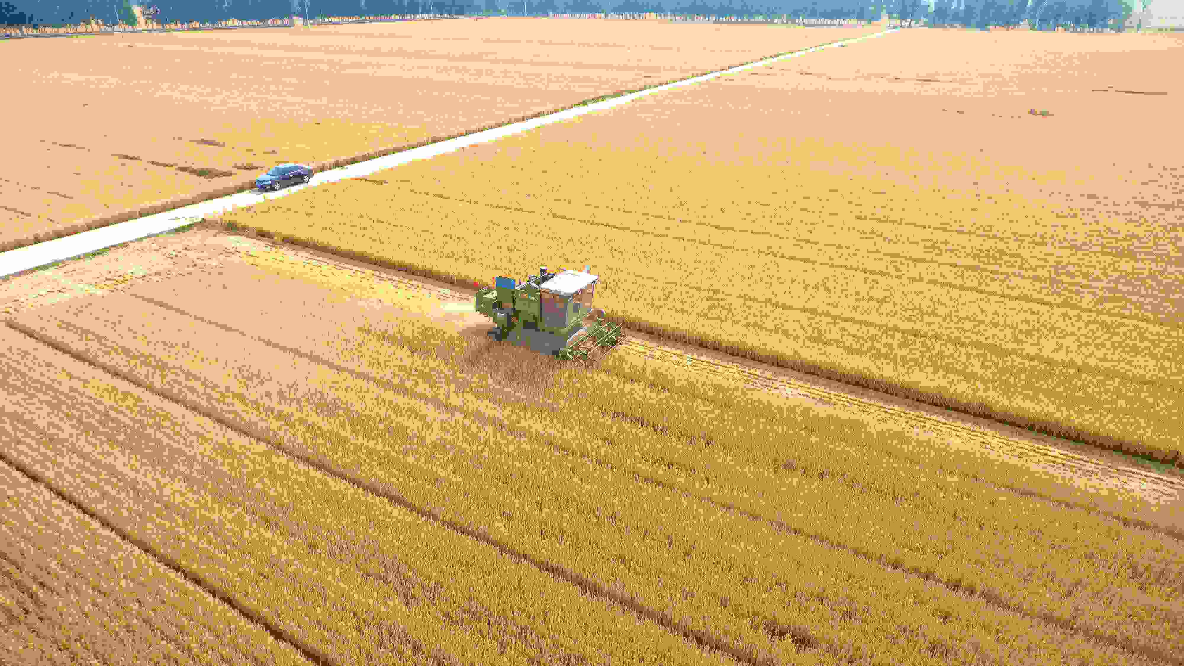 △ 2023年6月5日，山東聊城茌平區(qū)賈寨鎮(zhèn)王藥包村，收割機(jī)在田間進(jìn)行小麥?zhǔn)崭钭鳂I(yè)。