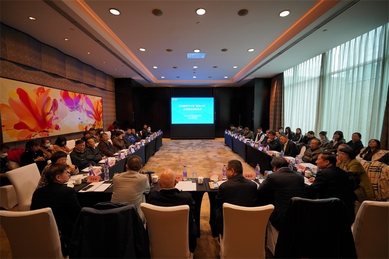 座談會現(xiàn)場。主辦方供圖