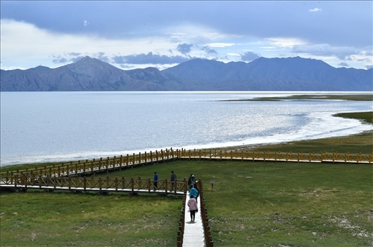 △ 游客行走在青海瑪多縣冬格措納湖畔的木棧道上。
