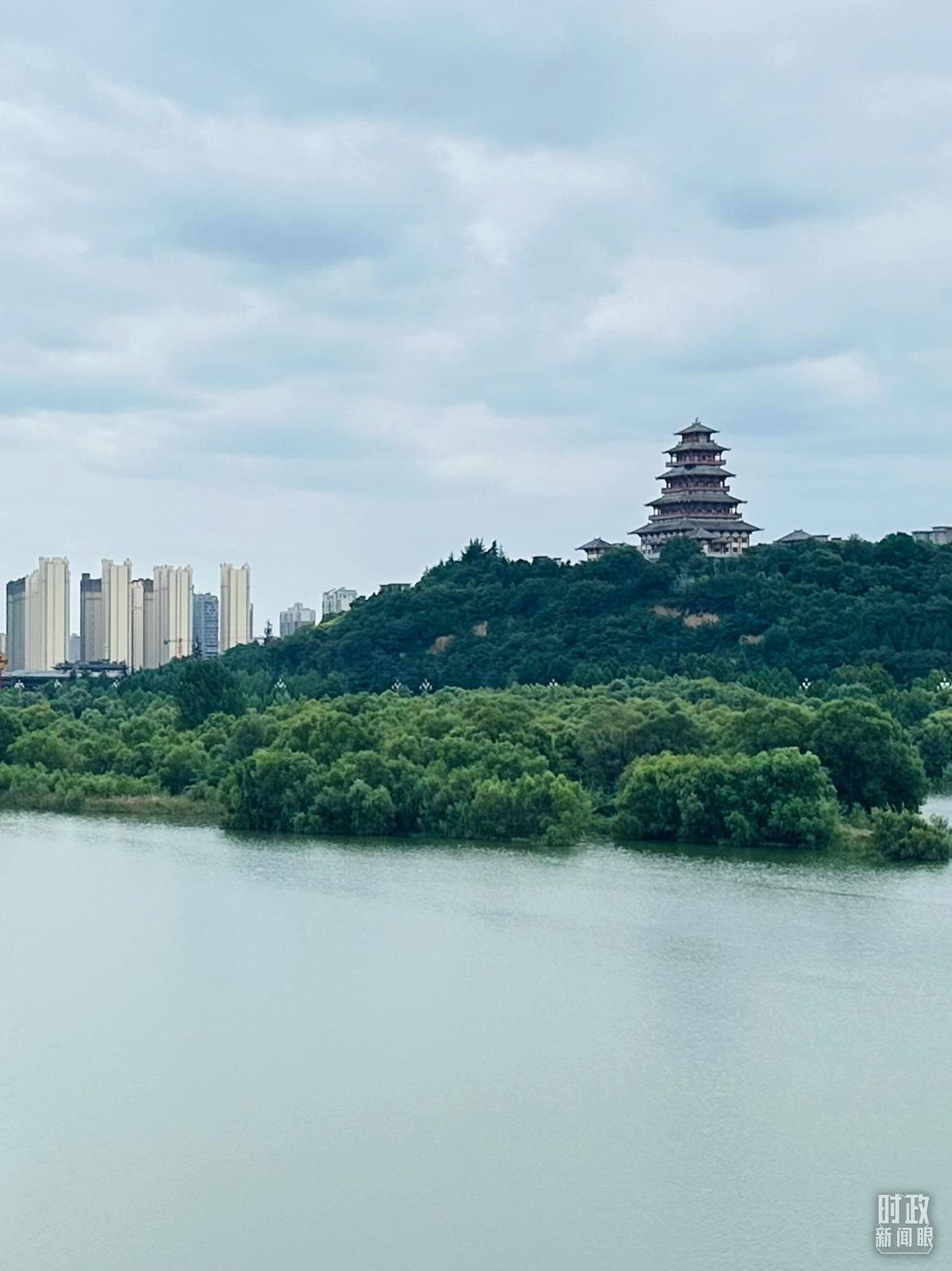 △渭河寶雞段長(zhǎng)224公里，目前建成17處渭河灘區(qū)生態(tài)涵養(yǎng)區(qū)。（總臺(tái)央視記者范一鳴拍攝）