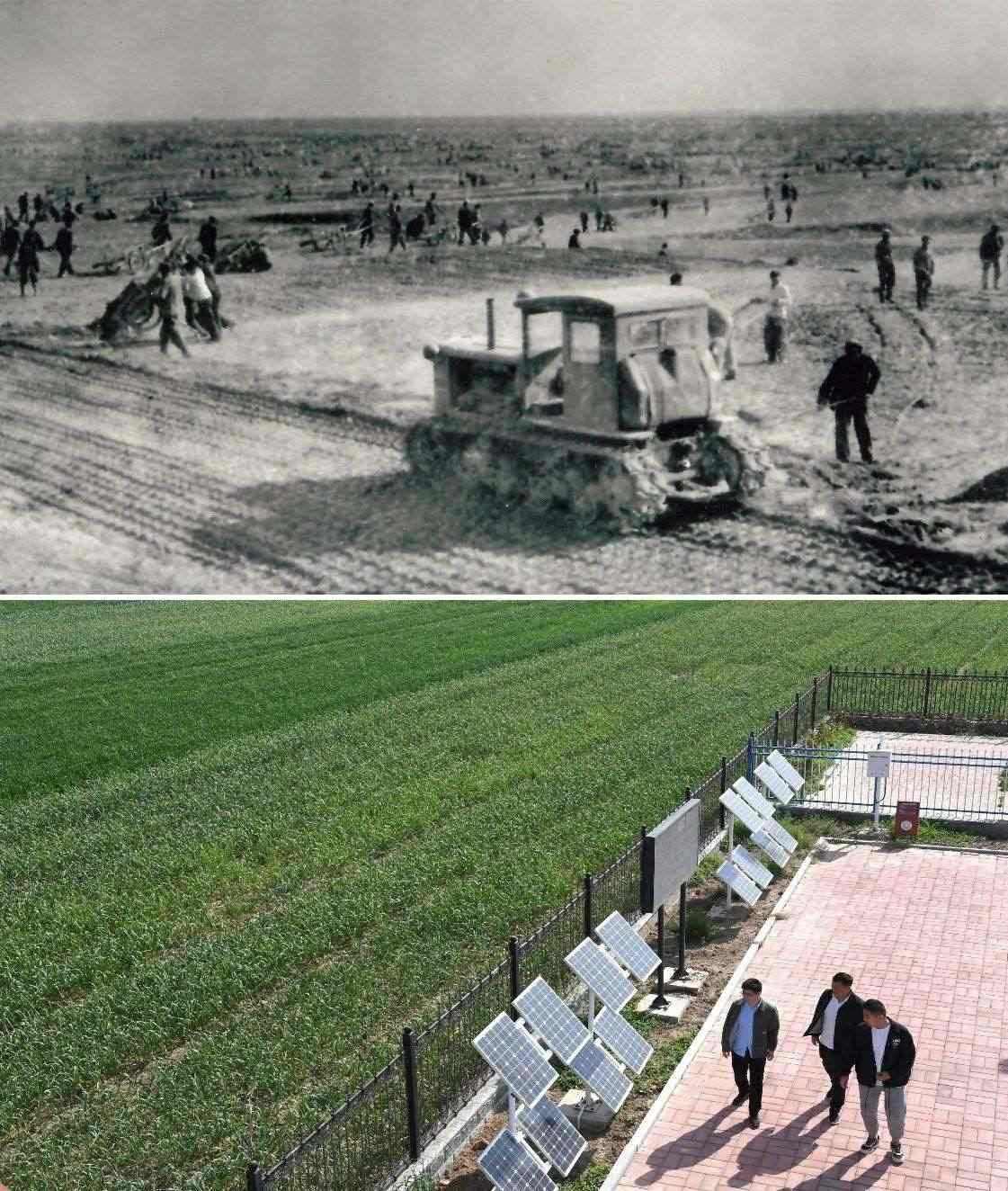 上圖為二十世紀(jì)六十年代蘭考改造鹽堿地的情景（資料照片）；下圖為2024年4月18日拍攝的蘭考縣紅廟鎮(zhèn)高標(biāo)準(zhǔn)農(nóng)田示范區(qū)。（新華社記者 朱祥 攝）