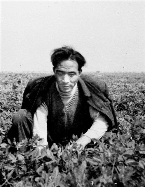 在蘭考期間，焦裕祿在田間勞動(dòng)的情景。