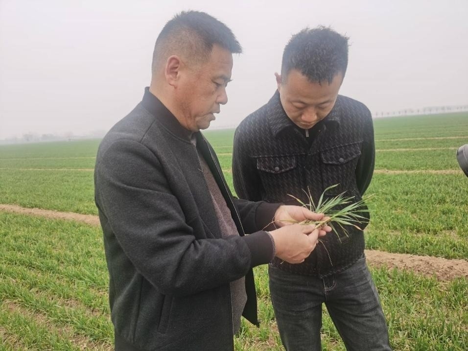 在山東濟(jì)寧汶上縣苑莊鎮(zhèn)，農(nóng)技員黃海龍對種糧大戶王振現(xiàn)場進(jìn)行春耕指導(dǎo)。人民網(wǎng)記者 車柯蒙攝