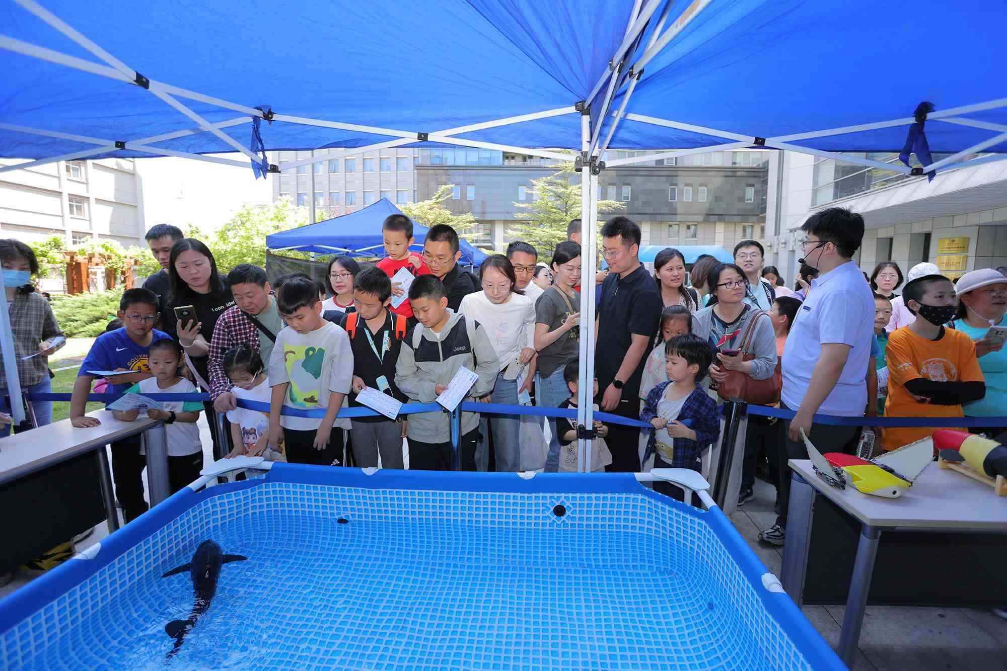 水下仿生機(jī)器魚在活動(dòng)現(xiàn)場(chǎng)大受歡迎。中國科學(xué)院自動(dòng)化研究所供圖